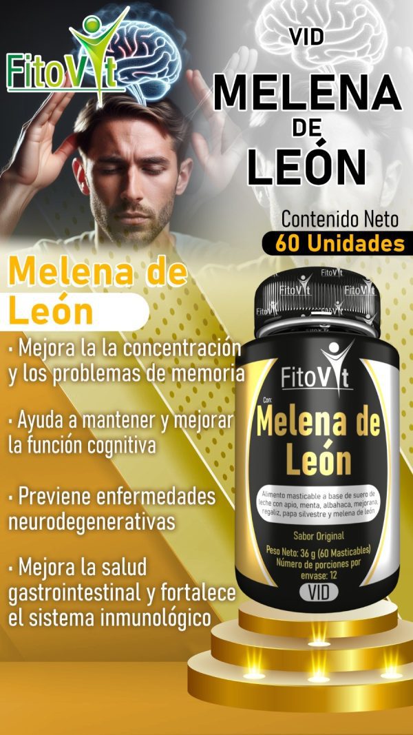 MELENA DE LEON X60 UND FITOVIT - Imagen 7