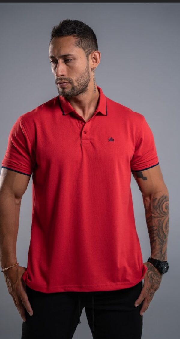 Camiseta Tipo Polo Marcas Varon´s - Hugo Boss y Polo Ralph Lauren (Envío GRATIS - Pago Contraentrega) - Imagen 15